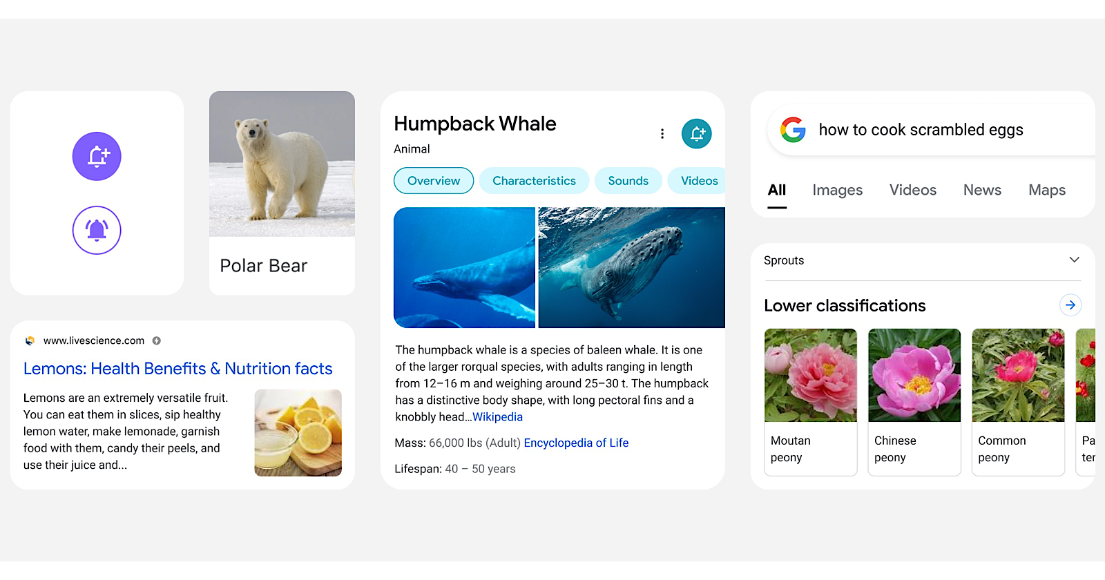 Google Redesigns Mobile Search Results