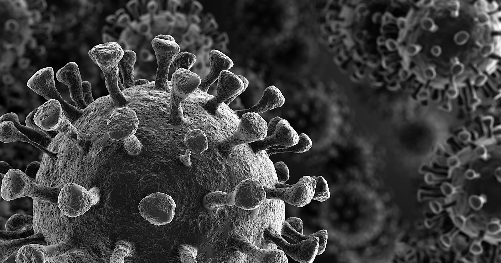 Google Confirms It Is Now Building a Nationwide Coronavirus Info Site