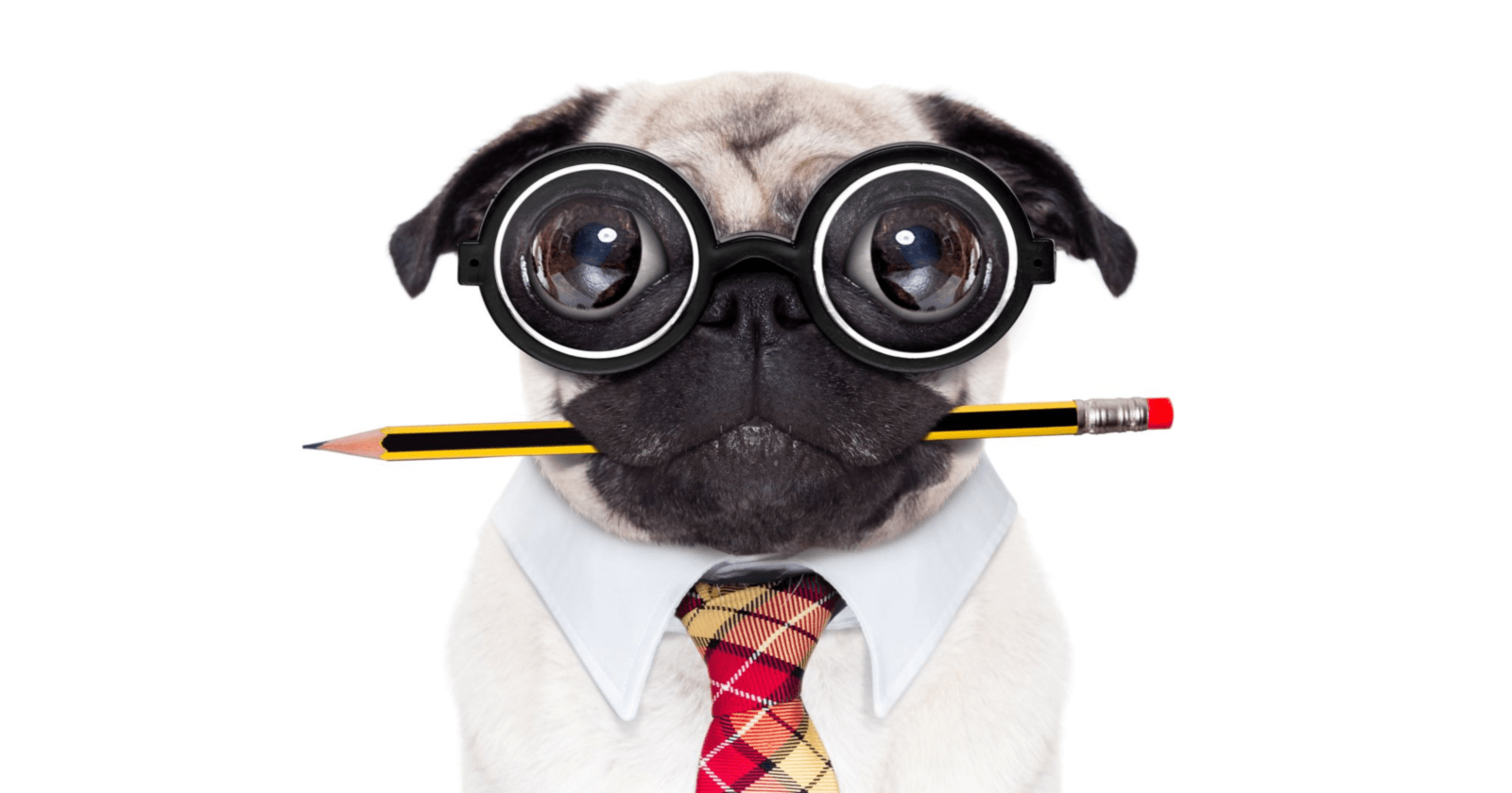 A Technical SEO Checklist for a Non-Technical Marketer