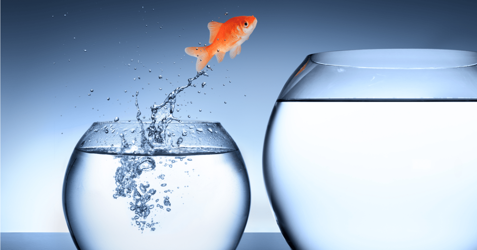 Write Less, Say More: Why You Need to Create Concise Content