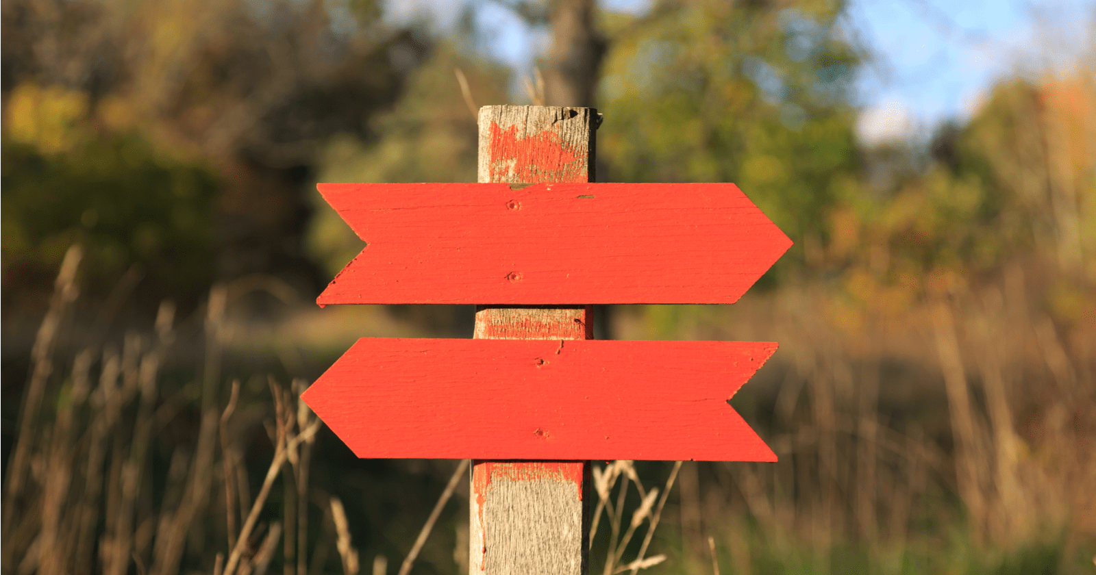 Google Rolls Out New Markup for Displaying Data Tables in Search Results