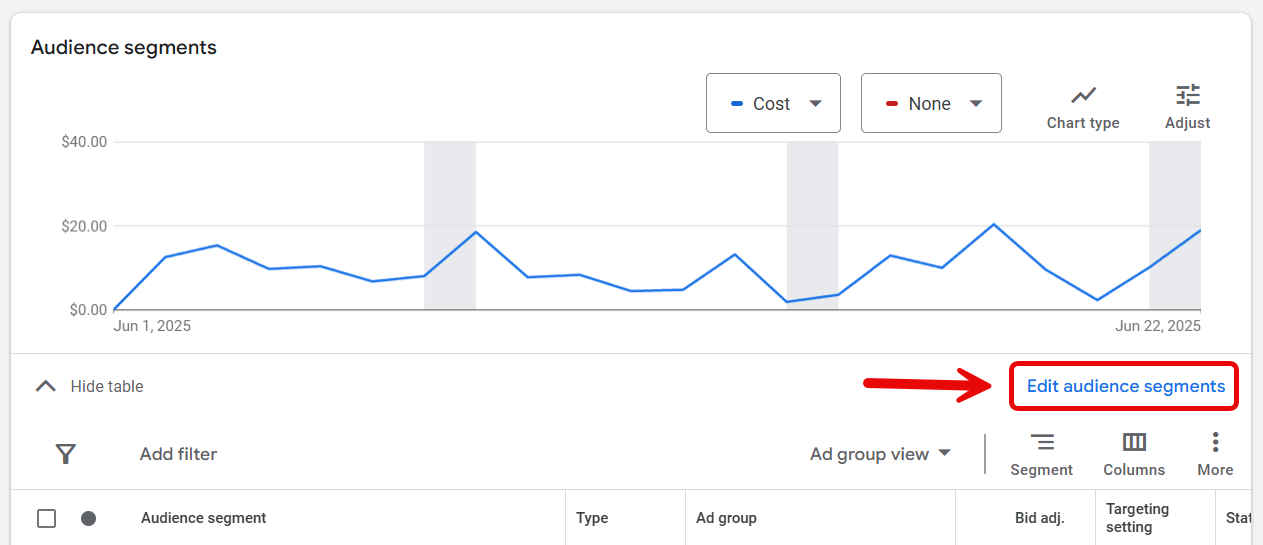 Google Ads audience targeting summary