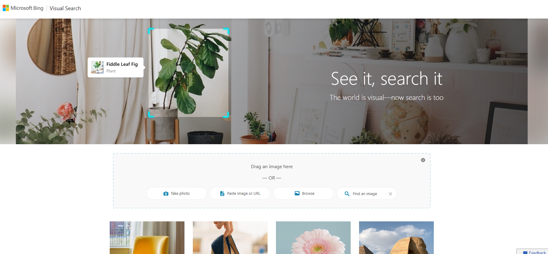 Screenshot of Microsoft Bing Visual Search engine, Bing, July 2024