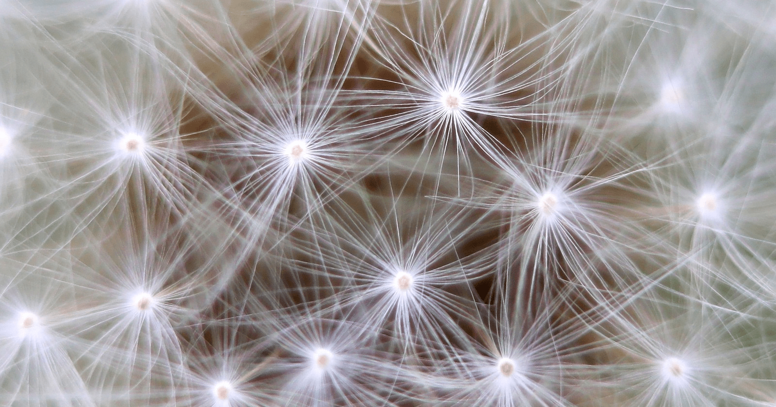 3 Easy Ways to Build Better-Quality Backlinks ASAP