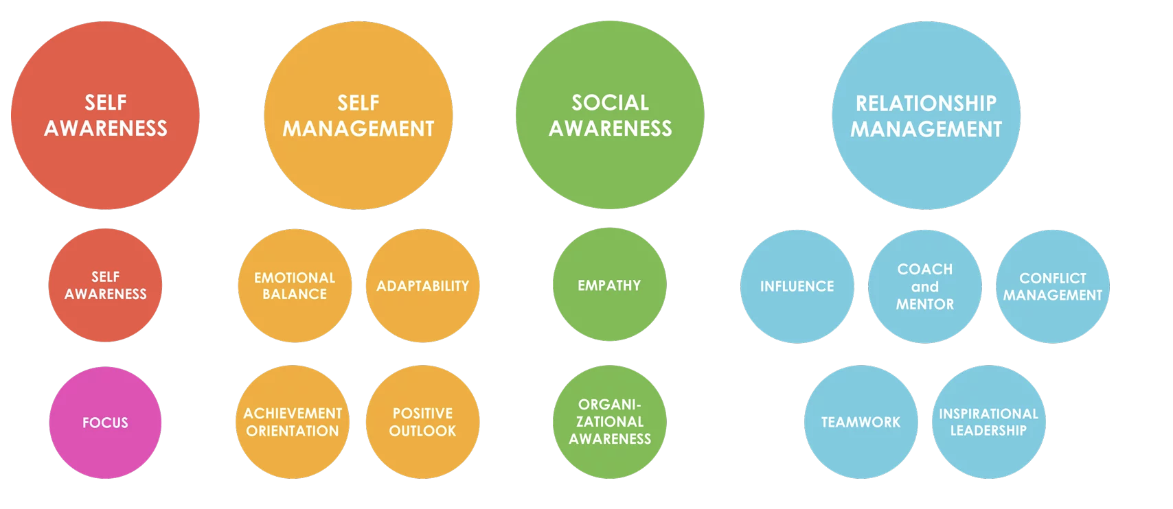 Four Domains and Twelve Competencies