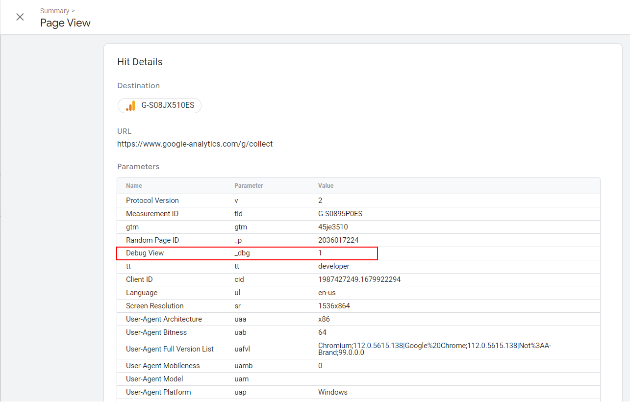 _dbg debug view parameter in the payload