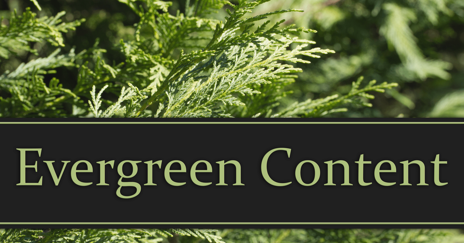 10 Awesome Evergreen Content Ideas for E-Commerce Websites