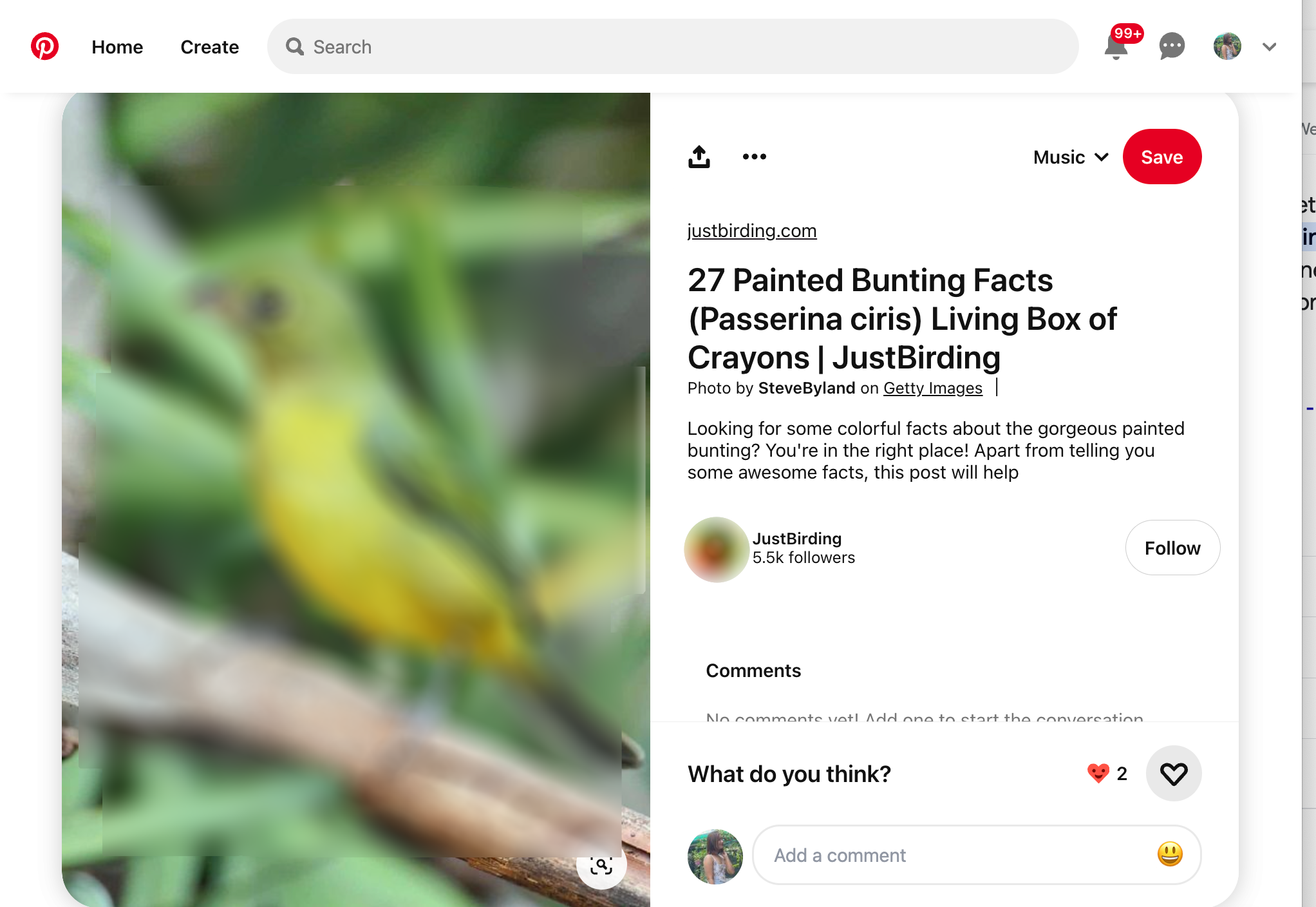Pinterest Image Search