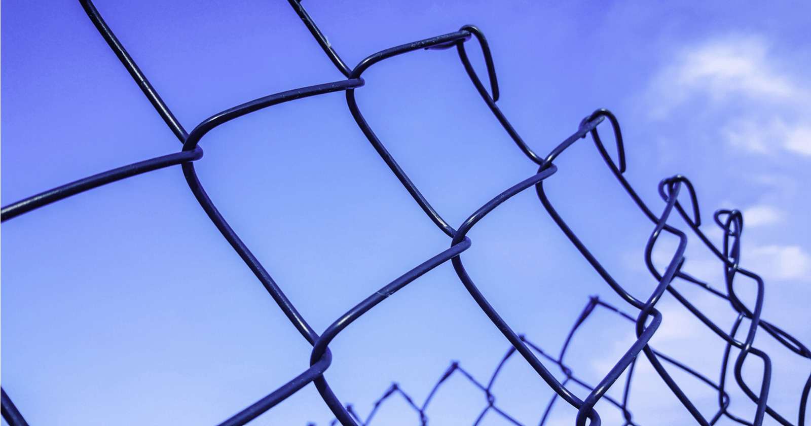 The Nofollow Question: How Much Credit Do Nofollow Links Get?