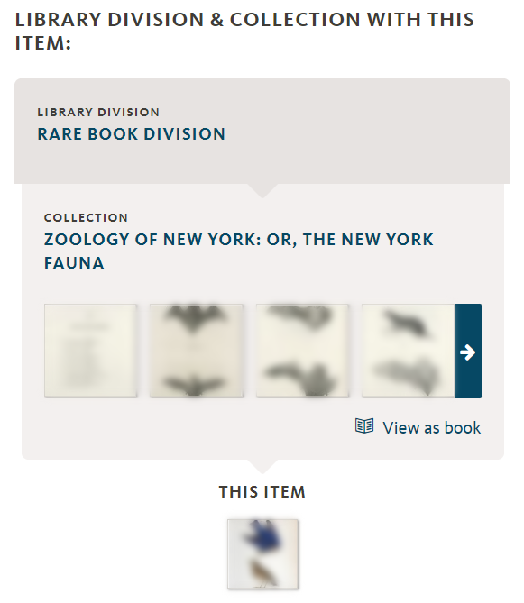 DigitalCollections.nypl.org