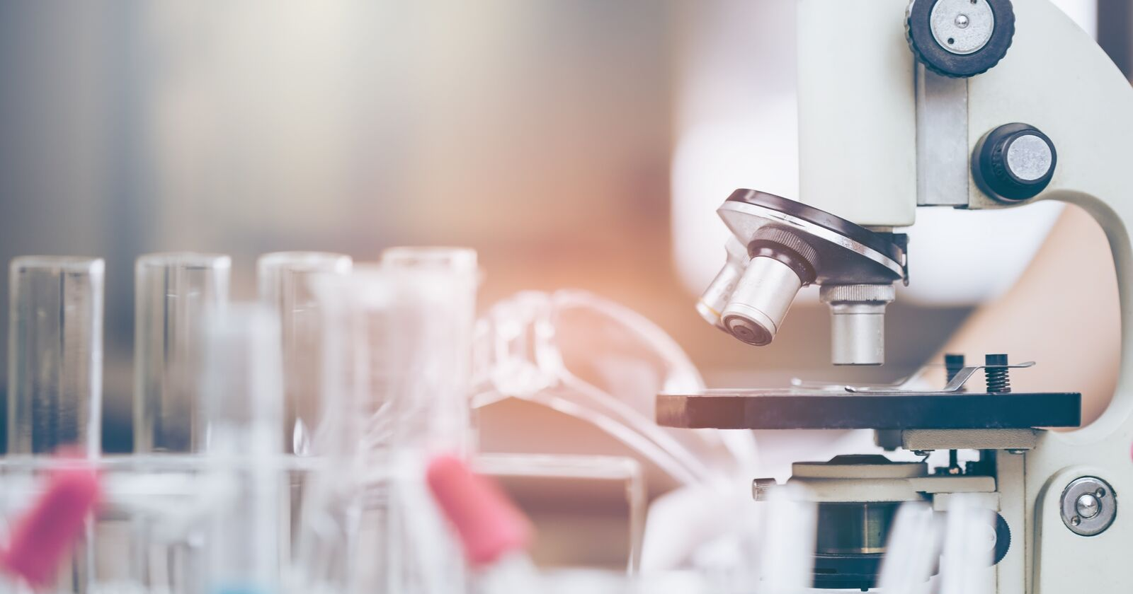 The Scientific Method for SEO: 6 Steps to Find Your True Ranking Factors