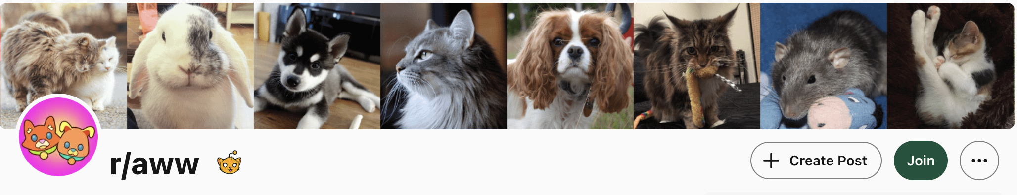 r/aww