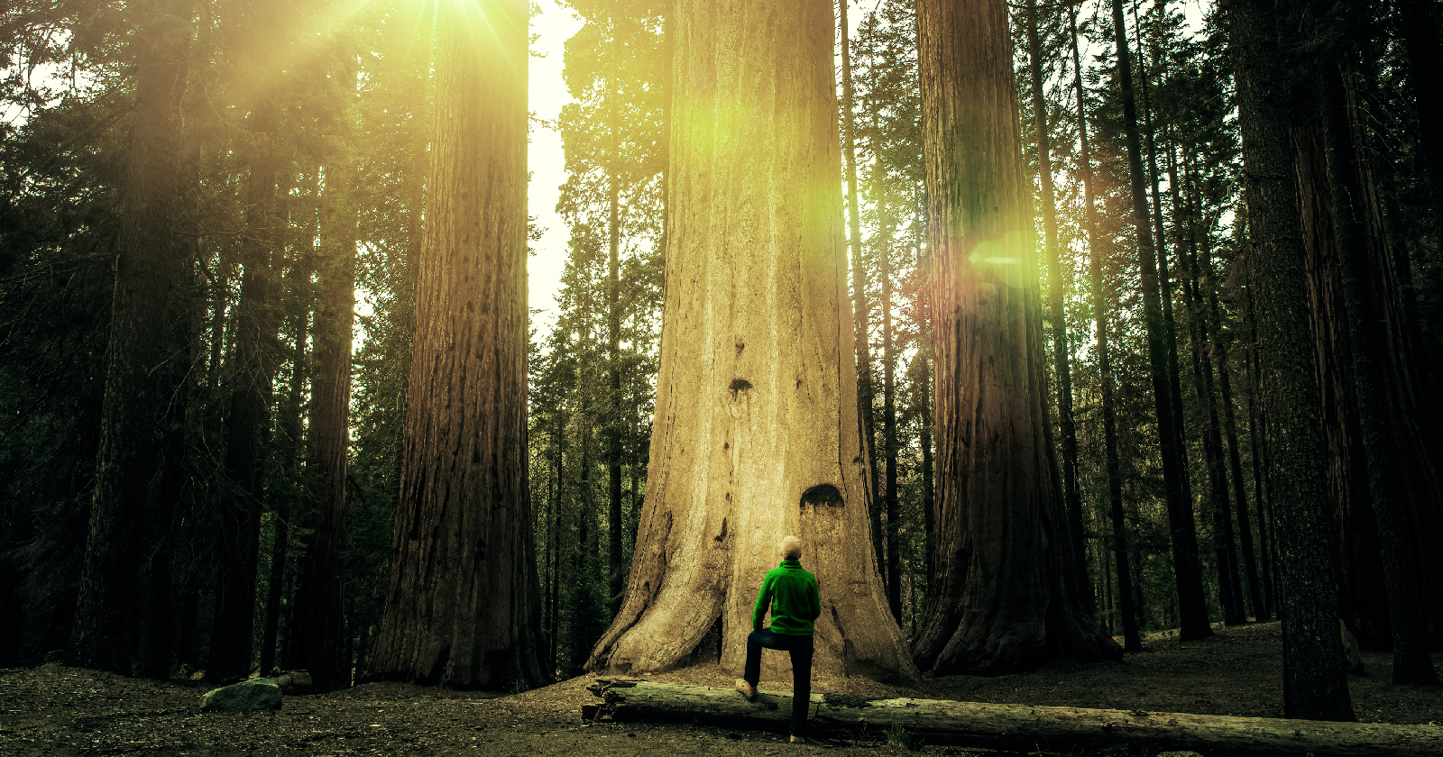 Benchmark Your SEO Program with Conductor's Organic Marketing Maturity Quiz