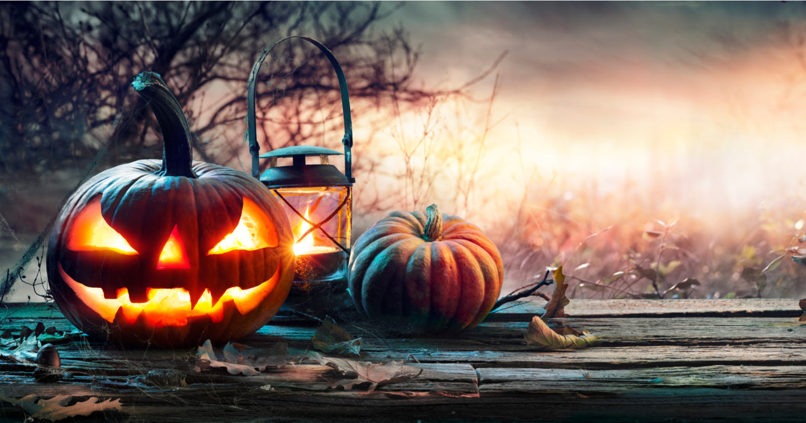 SEO Horror Stories That Will Scare The Hell Out Of You